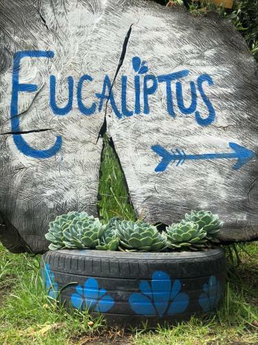 Glamping Con Sentido