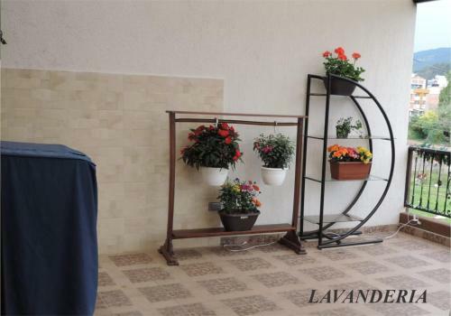 Hostal Sue�os Vividos Hospedaje