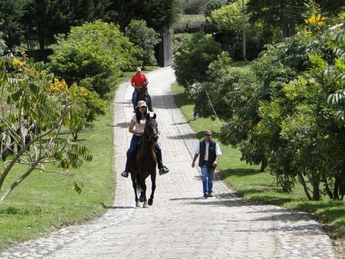 Bed & Breakfast La Isabela Estancia Ecuestre