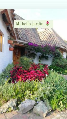 Bed & Breakfast La Isabela Estancia Ecuestre