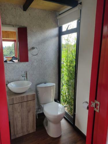 Quy� Tiny House