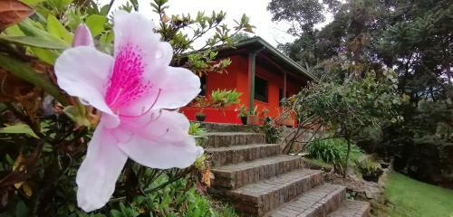 Hostal Nuestro Bosque I