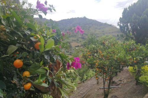 Hermosa Casa Campestre
