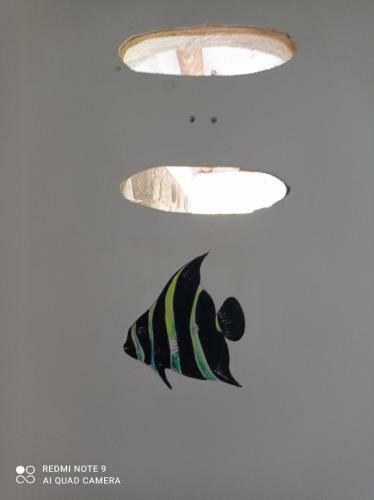 Hostal Casa Caracola