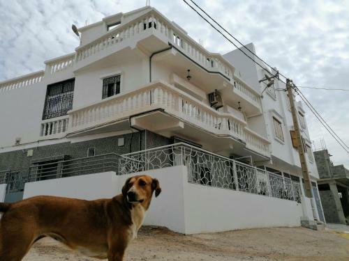 Apartamento Cozy Surf Stay