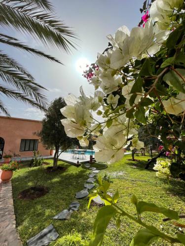 Apartamento Chalet Berb�re