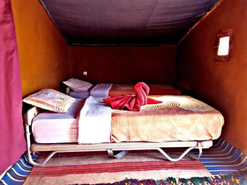Safari Camp Tours