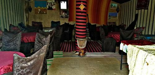 Safari Camp Tours