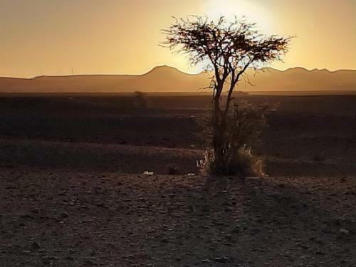 Lodge Sahara Peace
