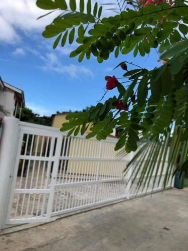 Apartamento Caribean Paradise 1