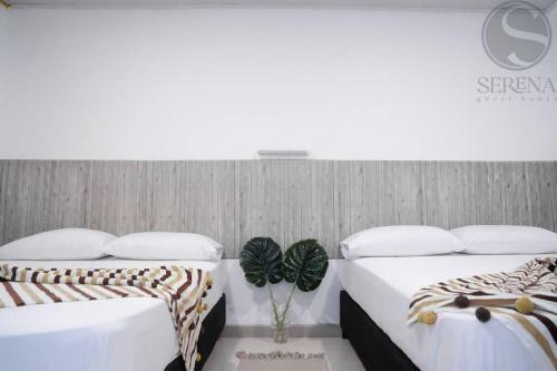 Apartamento Serena Guest House (Playa)