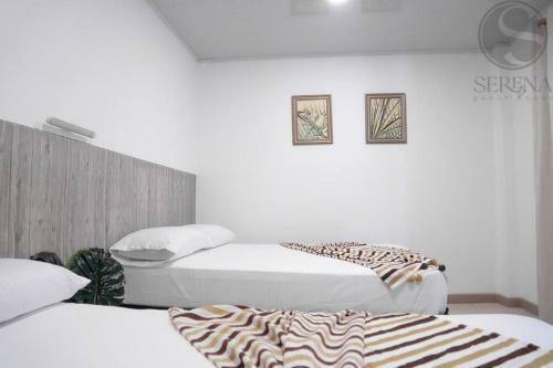 Apartamento Serena Guest House (Playa)