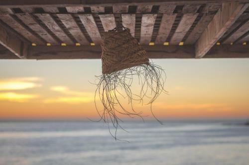 Hostal Surf Coast House