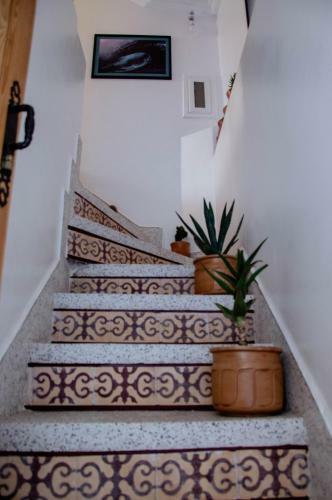Albergue Mouja Surf Camp