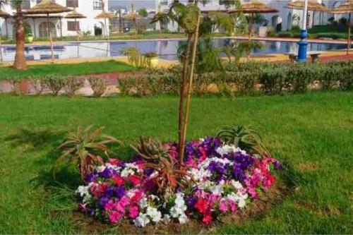 Apartamento Cosy Loft Cabo Negro Diamant
