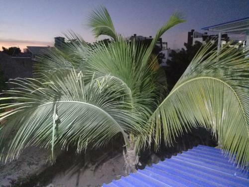Lodge Caba�as Piedramar