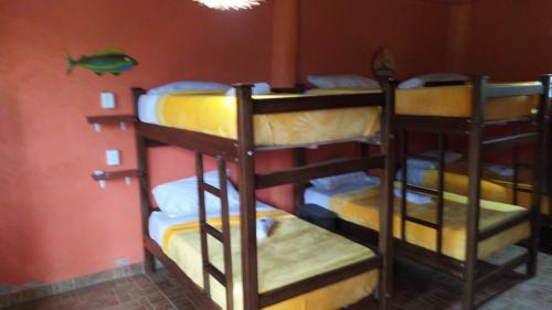 Hostal Jungle Joe Ecolodge