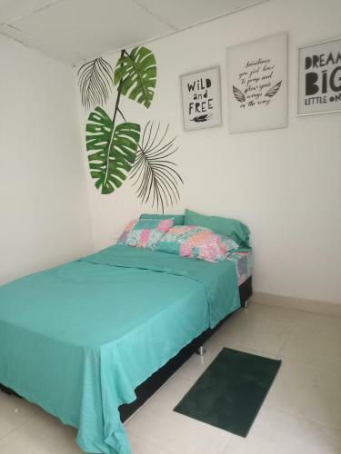 Casa Kolor
