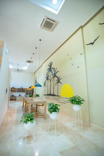 Apartamento Amoblado En Samaria, Primera L�nea de Playa!