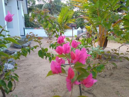 Hostal Sam's Hut Arugambay