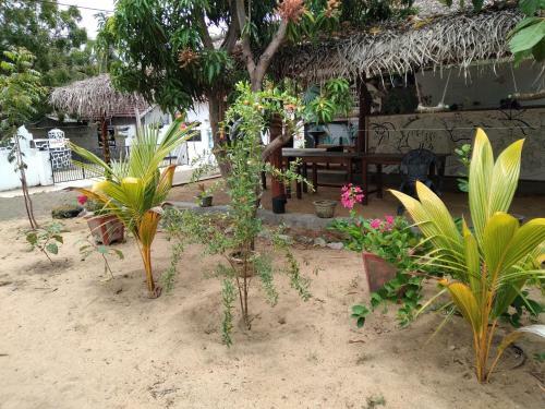 Hostal Sam's Hut Arugambay
