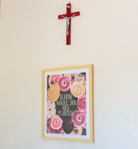 Bed & Breakfast Rqs Hostel