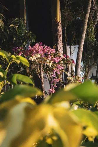 Bed & Breakfast Rqs Hostel
