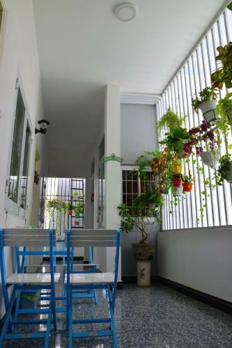 Blossom Homestay