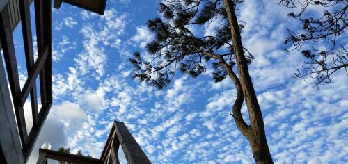 Jeff Maker Tw Homestay