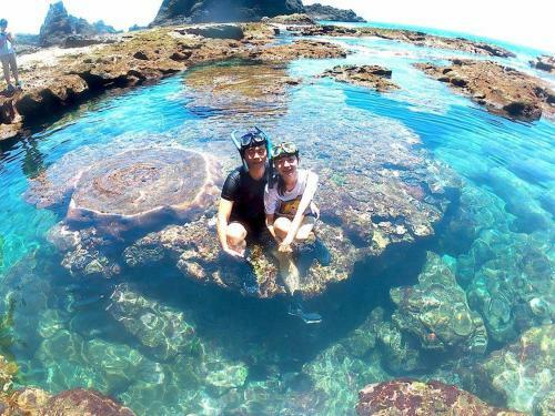 Albergue Green Island 9 Backpacker