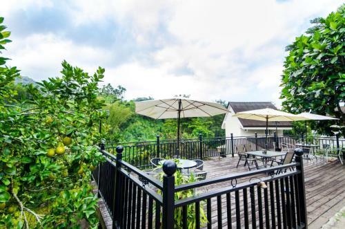 Bed & Breakfast Butchard Villas