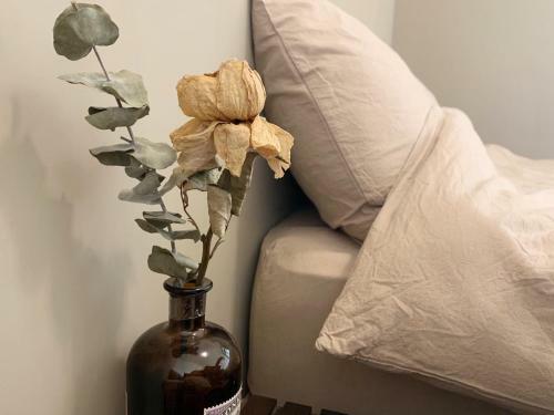 Agroturismo White Cat B&B