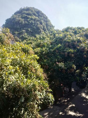 Long Homestay