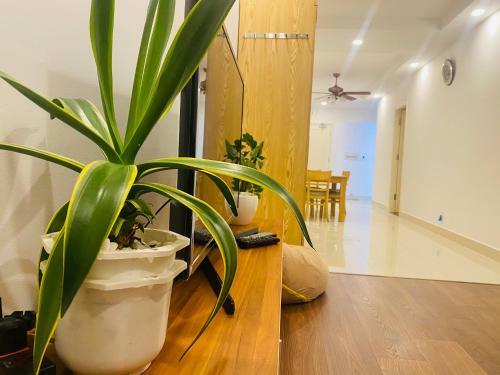 Vung Tau Melody Apartment