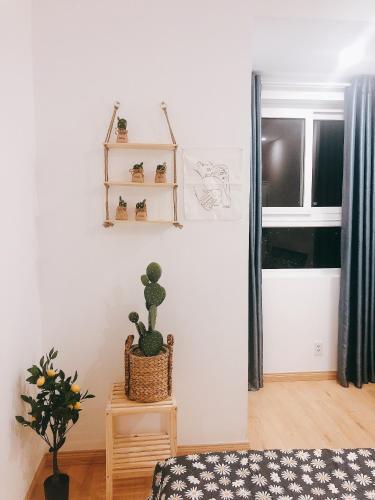 Apartamento C?n H? Medoly