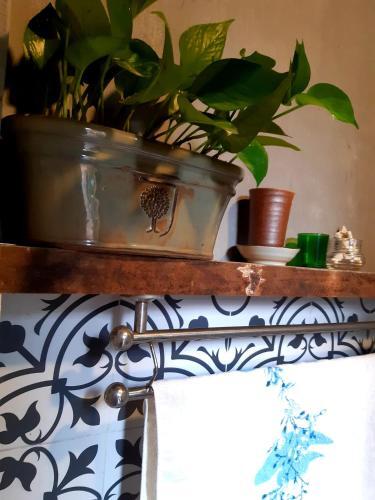 Homestay