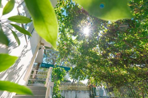 Palm Homestay Vung Tau
