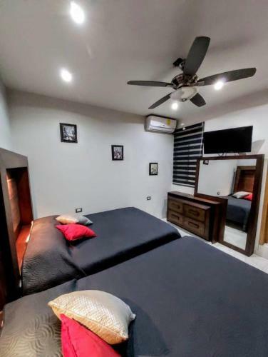 Apartamento Suite Fg