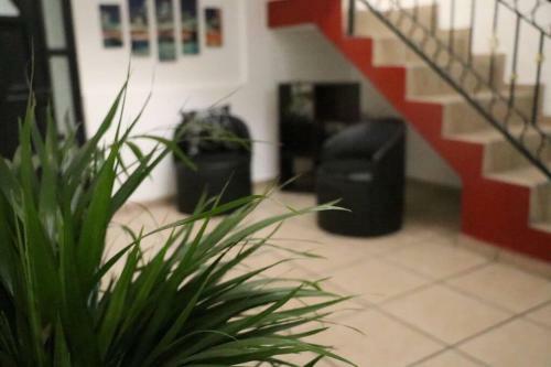 Sweet Home Terraza
