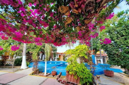 Hotel Oasis Melaque