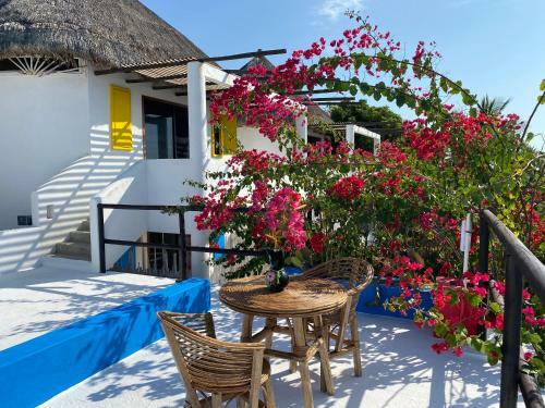 Bed & Breakfast Beachfront Paradise Boutique Hotel