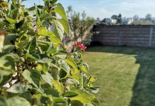 Apartamento Departamento En Cholula