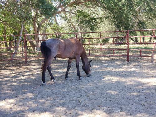 Agroturismo Rancho San Antonio