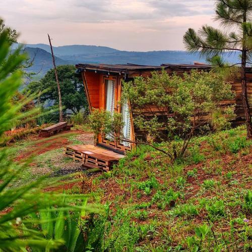 Glamping Ukuleleria