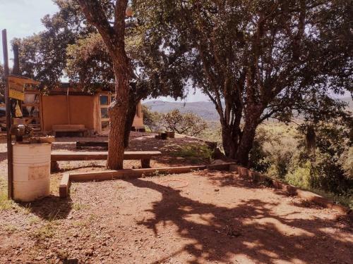 Glamping Ukuleleria