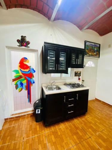Apartamento Departamento Burros 1