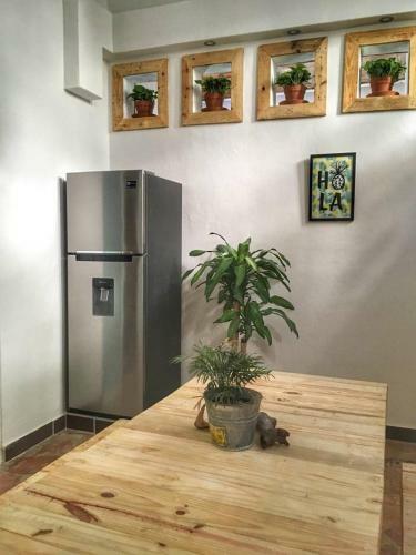 Apartamento Areca #