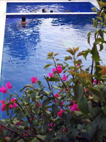 Hotel Don Luis Hostal - Sucursal Galeana - Tecolutla