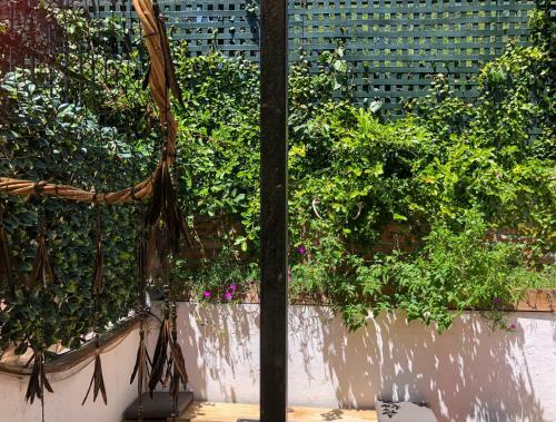 Albergue Casa Chuparrosa