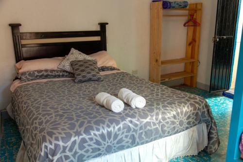 Albergue Casa Chuparrosa